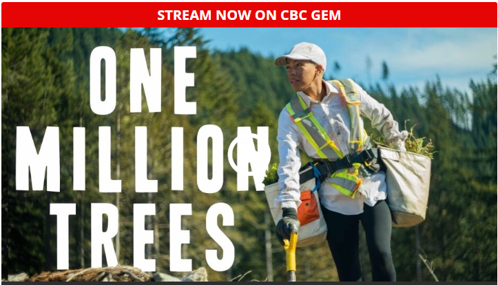 OneMillionTrees